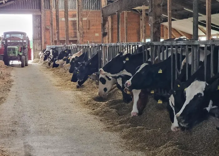 Lookenhof 아파트 *