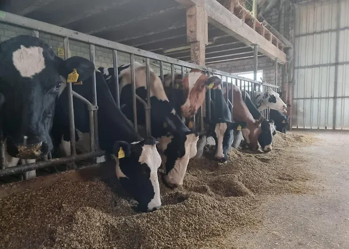 Lookenhof 아파트 *